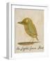 The Light Green Bird-Edward Lear-Framed Giclee Print