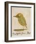 The Light Green Bird-Edward Lear-Framed Premium Giclee Print