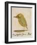 The Light Green Bird-Edward Lear-Framed Premium Giclee Print