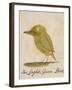 The Light Green Bird-Edward Lear-Framed Giclee Print