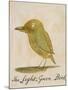 The Light Green Bird-Edward Lear-Mounted Giclee Print