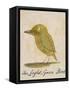 The Light Green Bird-Edward Lear-Framed Stretched Canvas