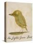 The Light Green Bird-Edward Lear-Stretched Canvas