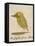 The Light Green Bird-Edward Lear-Framed Stretched Canvas