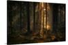 The light in the forest-Allan Wallberg-Stretched Canvas