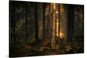 The light in the forest-Allan Wallberg-Stretched Canvas