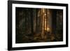 The light in the forest-Allan Wallberg-Framed Photographic Print