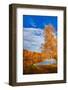 The Light of a New Day-Philippe Sainte-Laudy-Framed Photographic Print