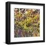 The Light of Day-Jean Cauthen-Framed Art Print