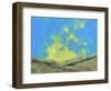 The Light of the Valley-Paul Bailey-Framed Art Print