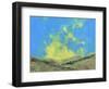 The Light of the Valley-Paul Bailey-Framed Art Print