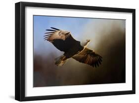 The Light-Jai Johnson-Framed Giclee Print