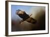 The Light-Jai Johnson-Framed Giclee Print