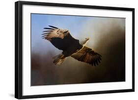 The Light-Jai Johnson-Framed Giclee Print