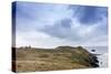 The lighthouse at Cape Horn at the far southern end of South America, in the islands of Cape Horn N-Alex Robinson-Stretched Canvas