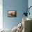 The Lighthouse, Cascais, Estremadura, Portugal, Europe-Firecrest Pictures-Framed Stretched Canvas displayed on a wall