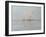 The Lighthouse (Oil on Canvas)-John Henry Twachtman-Framed Giclee Print