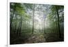 The Lighting Forest 2-Philippe Manguin-Framed Photographic Print