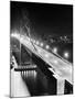 The Lights of Downtown San Francisco Twinkle Across the Bay-null-Mounted Photographic Print