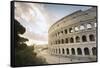 The lights of sunrise frame the ancient Colosseum (Flavian Amphitheatre), UNESCO World Heritage Sit-Roberto Moiola-Framed Stretched Canvas