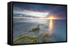 The Lights of Sunset are Reflected in the Blue Sea Hawksbill Bay, Antigua, Antigua and Barbuda-Roberto Moiola-Framed Stretched Canvas