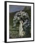 The Lilac Bush, 1891-Olaf Isaachsen-Framed Giclee Print