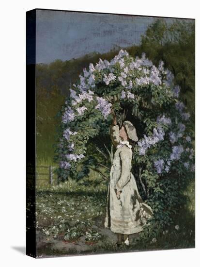 The Lilac Bush, 1891-Olaf Isaachsen-Stretched Canvas