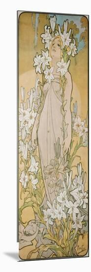 The Lily, 1898-Alphonse Mucha-Mounted Giclee Print