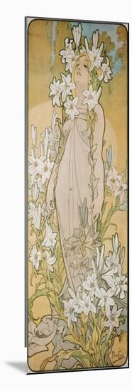 The Lily, 1898-Alphonse Mucha-Mounted Premium Giclee Print