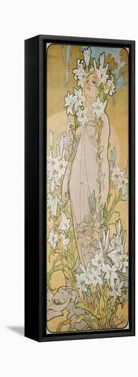The Lily, 1898-Alphonse Mucha-Framed Stretched Canvas