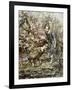 The Lily Pond, 1917-Edward Atkinson Hornel-Framed Giclee Print