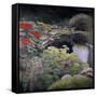 The Lily Pond-Kevin Dodds-Framed Stretched Canvas