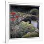 The Lily Pond-Kevin Dodds-Framed Giclee Print