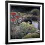 The Lily Pond-Kevin Dodds-Framed Giclee Print