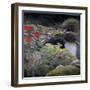 The Lily Pond-Kevin Dodds-Framed Giclee Print