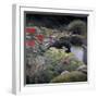 The Lily Pond-Kevin Dodds-Framed Giclee Print