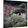 The Lily Pond-Kevin Dodds-Mounted Giclee Print
