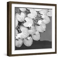 The Lily Pool B&W-Douglas Yan-Framed Giclee Print