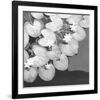 The Lily Pool B&W-Douglas Yan-Framed Giclee Print