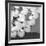 The Lily Pool B&W-Douglas Yan-Framed Giclee Print