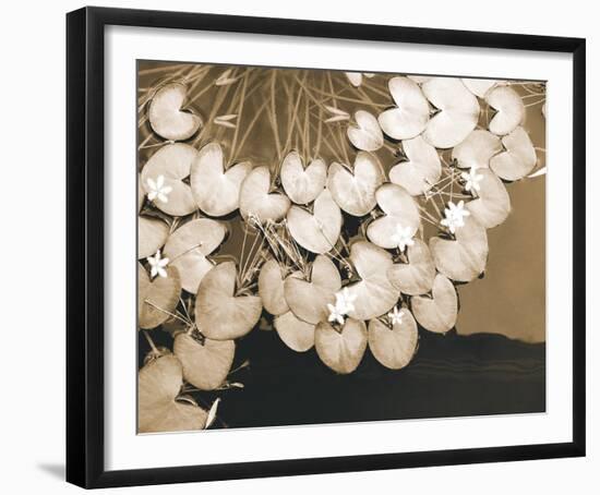 The Lily Pool-Douglas Yan-Framed Giclee Print