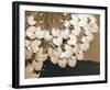 The Lily Pool-Douglas Yan-Framed Giclee Print