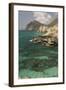 The Limestone Coast of Southern Oman, Mughsayl, Salalah, Dhofar, Oman, Middle East-Tony Waltham-Framed Photographic Print