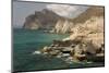 The Limestone Coast of Southern Oman, Mughsayl, Salalah, Dhofar, Oman, Middle East-Tony Waltham-Mounted Photographic Print