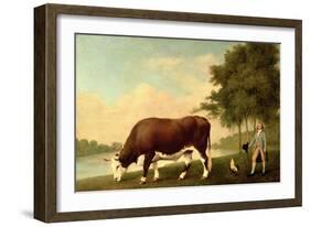 The Lincolnshire Ox, C.1790-George Stubbs-Framed Giclee Print
