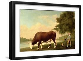 The Lincolnshire Ox, C.1790-George Stubbs-Framed Giclee Print