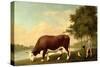 The Lincolnshire Ox, C.1790-George Stubbs-Stretched Canvas