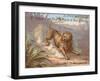 The Lion and the Gnat-null-Framed Giclee Print