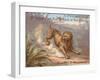 The Lion and the Gnat-null-Framed Giclee Print