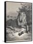 The Lion and the Mouse-Gustave Doré-Framed Stretched Canvas